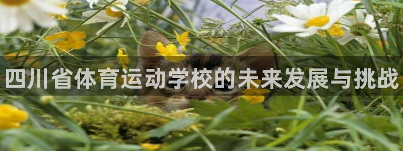 JJB竞技宝官网下载平台注册要钱吗：四川省体育运动学