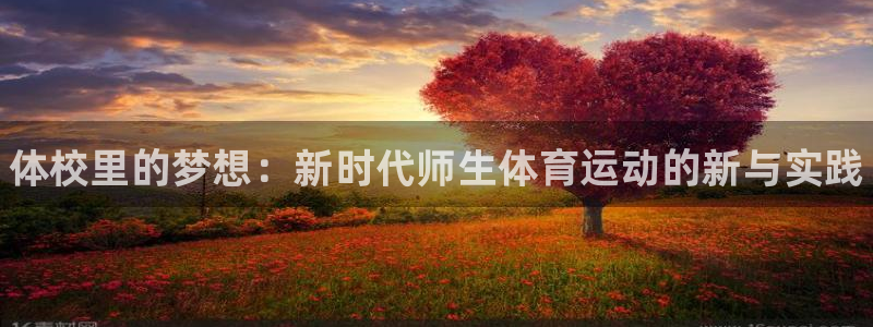 海南JJB竞技宝官网下载：体校里的梦想：新时代师生体