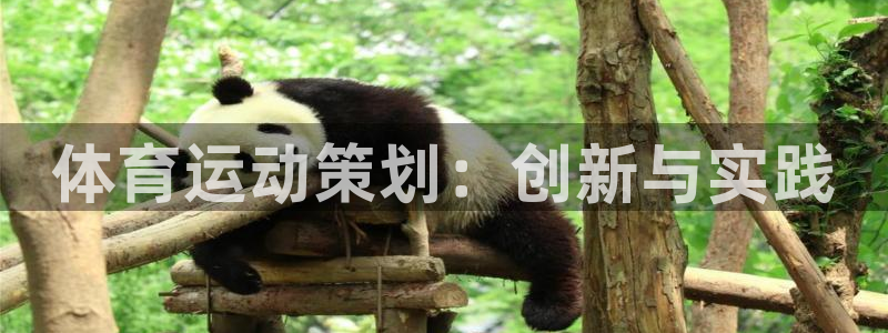 JJB竞技宝官方正版app娱乐网站