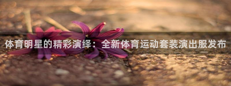JJB竞技宝官方正版app集团官网首页：体育明星的精彩演绎：