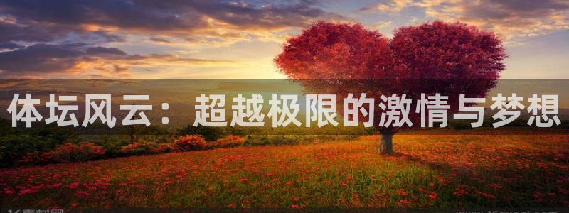 JJB竞技宝官网下载开户