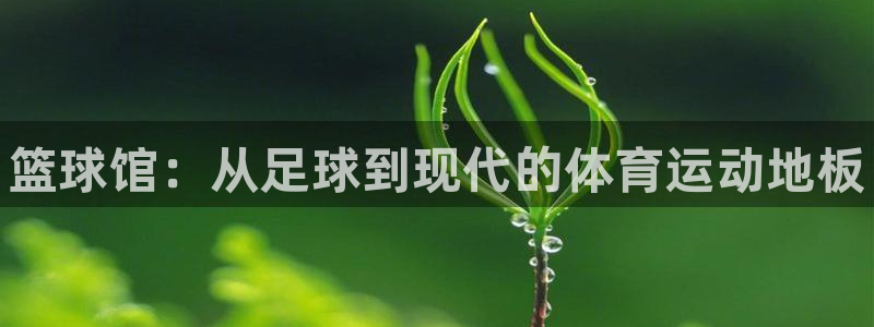 JJB竞技宝官网下载平台APP：篮球馆：从足球到现代的体育运