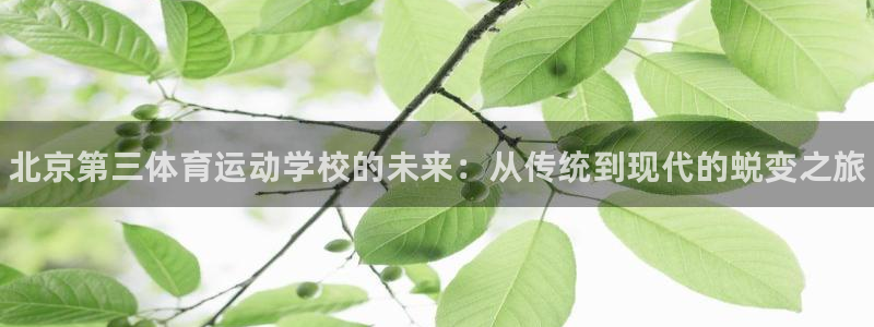 JJB竞技宝官方正版app娱乐是那个系列的台子