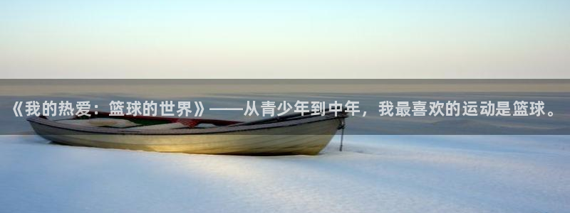 JJB竞技宝官网下载：《我的热爱：篮球的世界》——从青少年到