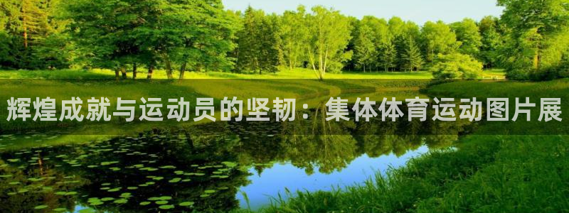 JJB竞技宝官网下载平台注册要钱吗：辉煌成就与运动员的坚韧：