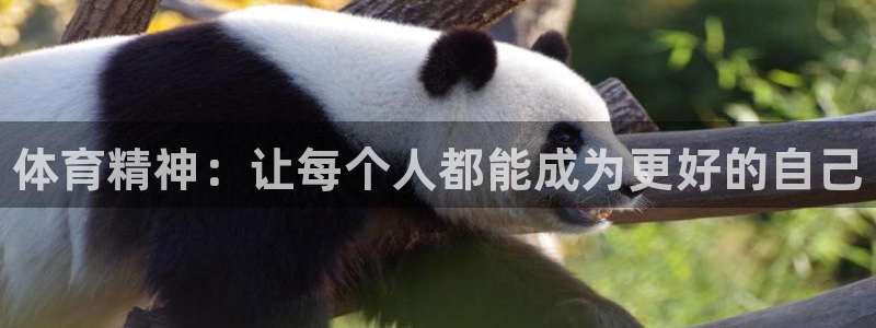 JJB竞技宝官网下载招商电话地址是多少：体育精神：让