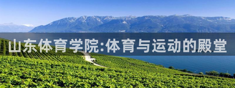 JJB竞技宝官网下载平台注册要钱吗安全吗：山东体育学