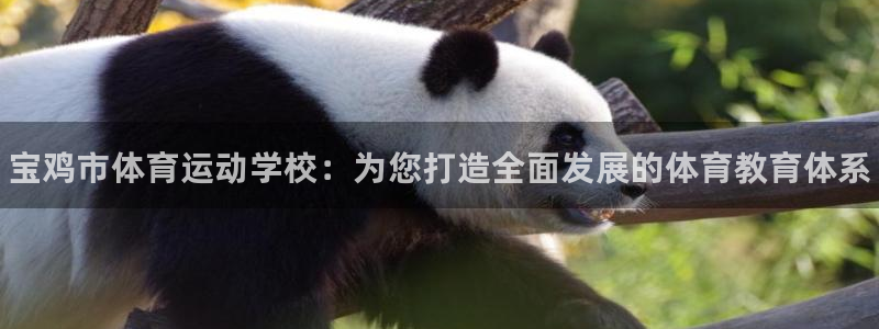 JJB竞技宝官网下载招商电话地址查询