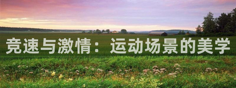 JJB竞技宝官方正版app官方：竞速与激情：运动场景