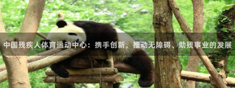 海南JJB竞技宝官网下载：中国残疾人体育运动中心：携
