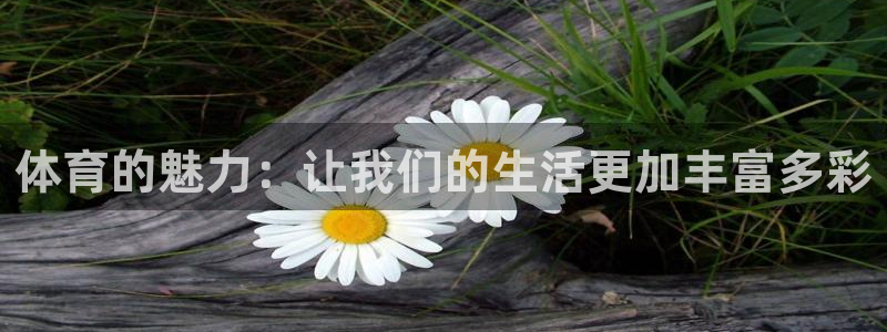 JJB竞技宝官网下载娱乐：体育的魅力：让我们的生活更