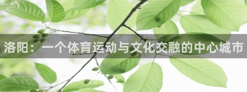 JJB竞技宝官网下载软件：洛阳：一个体育运动与文化交融的中心