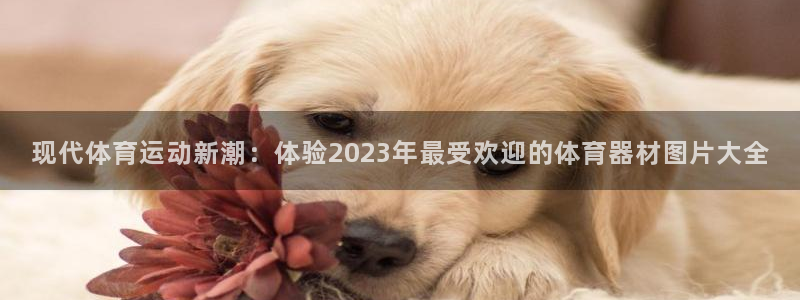 JJB竞技宝官网下载平台注册流程图：现代体育运动新潮