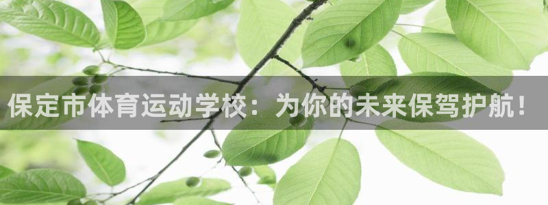 JJB竞技宝官方正版app科技：保定市体育运动学校：