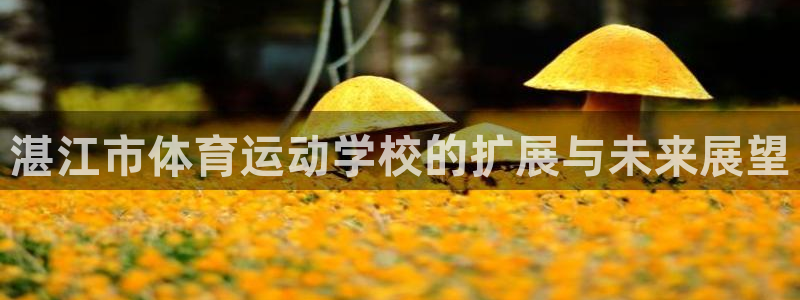 JJB竞技宝官方正版app娱乐首页官网下载：湛江市体