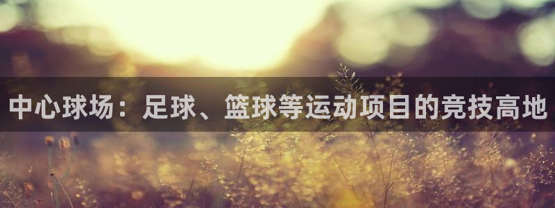 JJB竞技宝官方正版app娱乐下载：中心球场：足球、