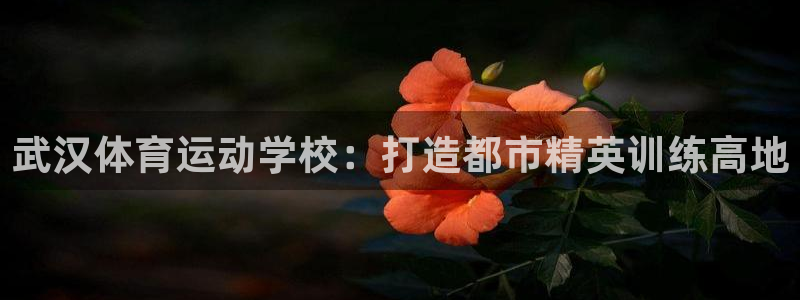 JJB竞技宝官网下载招商电话号码是多少号：武汉体育运