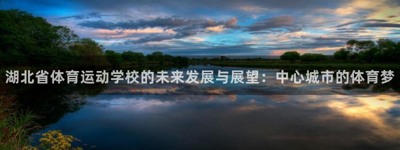 JJB竞技宝官网下载：湖北省体育运动学校的未来发展与