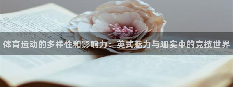 JJB竞技宝官网下载：体育运动的多样性和影响力：英式