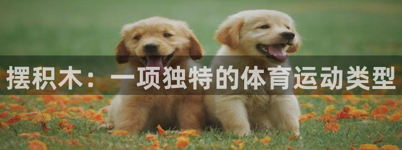 JJB竞技宝官网下载平台是正规平台吗安全吗：摆积木：一项独特