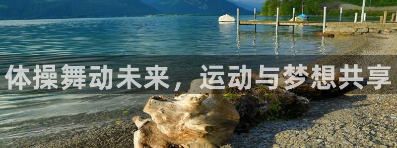 JJB竞技宝官网下载平台：体操舞动未来，运动与梦想共享