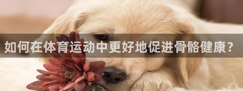 JJB竞技宝官网下载官方客服电话：如何在体育运动中更好地促进