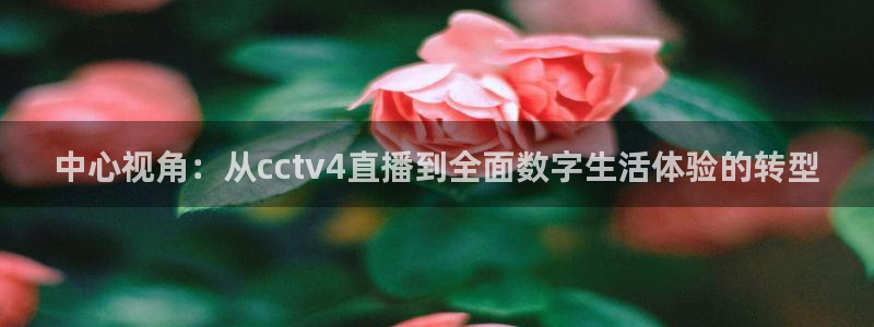 柠檬足球比赛直播：中心视角：从cctv4直播到全面数字生活体验的转型