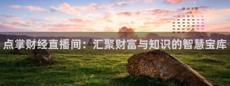 柠檬直播体育篮球：点掌财经直播间：汇聚财富与知识的智慧宝库